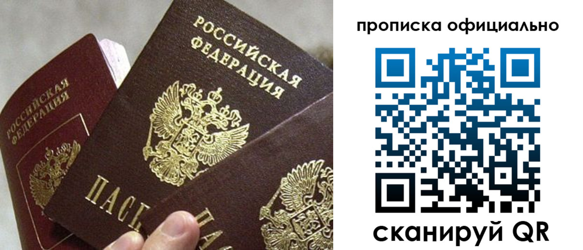 прописка гарантия в Кузнецке